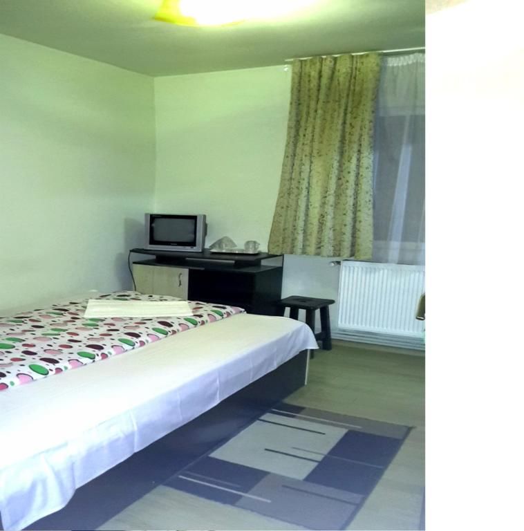 Хостелы Hostel Hora Бая-Маре-28
